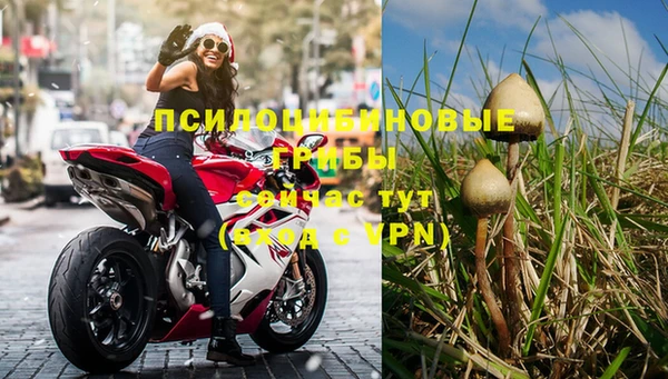 соль ск Бугульма