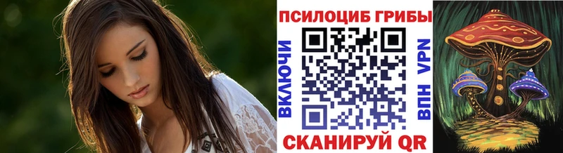 kraken ONION Кемерово Галлюциногенные грибы MAGIC MUSHROOMS